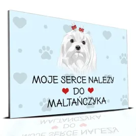 tabliczka-pcv-niebieski-22x15cm-moje-serce-nalezy-do-maltanczyk-prezent-wz