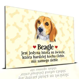 tabliczka-zolty-22x15cm-beagle-kocha-ciebie-bardziej-niz-samego-siebie-wz