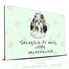 tabliczka-zielony-22x15cm-shih-tzu-szczescie-to-maly-cieply-szczeniaczek-wz