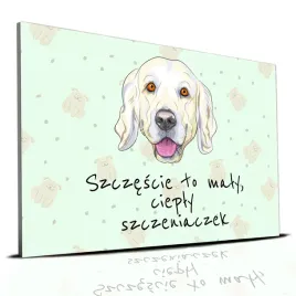 tabliczka-zielony-22x15cm-golden-retriver-to-maly-cieply-szczeniaczek-wz
