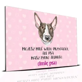tabliczka-rozowy-22x15cm-bulterier-masz-tylko-jednego-personalizacja-imie