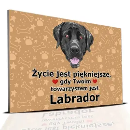 tabliczka-pcv-ciemno-brazowy-zycie-jest-piekne-labrador-prezent-mix-wzorow