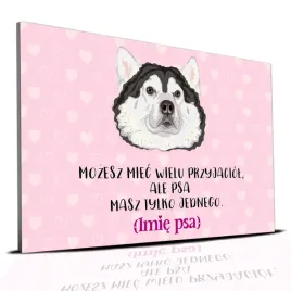 tabliczka-rozowy-22x15cm-malamut-psa-masz-tylko-jednego-personalizacja-imie