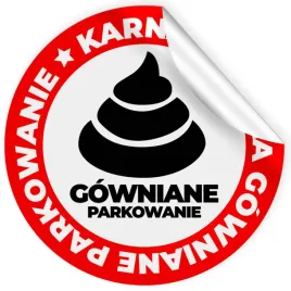 zestaw-naklejek-g-wniane-parkowanie-karne-49-sztuk