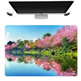 podkladka-mata-ochronna-biurko-50x35-japan-wzory