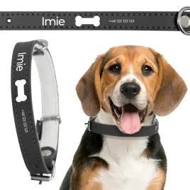 skorzana-obroza-dla-psa-imie-telefon-47-cm-kosc-wz