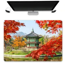 podkladka-mata-ochronna-biurko-50x35-korea-wzory