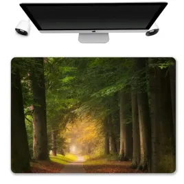 podkladka-mata-ochronna-biurko-50x35-przyroda-wzo