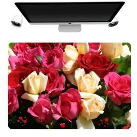 podkladka-mata-ochronna-biurko-50x35-roze-wzory