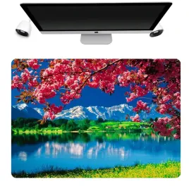podkladka-mata-ochronna-biurko-50x35-japonia-wzory