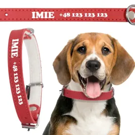 skorzana-obroza-dla-psa-imie-telefon-47-cm-wzory