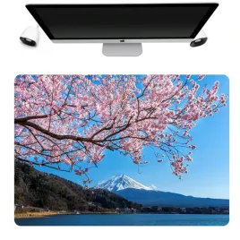 podkladka-mata-ochronna-biurko-50x35-japonia-wzory