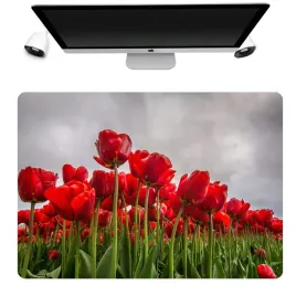 podkladka-mata-ochronna-biurko-50x35-tulipany-wzo