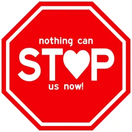 naklejka-13x13cm-nothing-can-stop-us-now-wzory