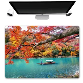 podkladka-mata-ochronna-biurko-50x35-korea-wzory