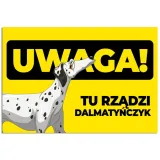 tabliczka-22x15cm-uwaga-dalmatynczyk-wzory-psy