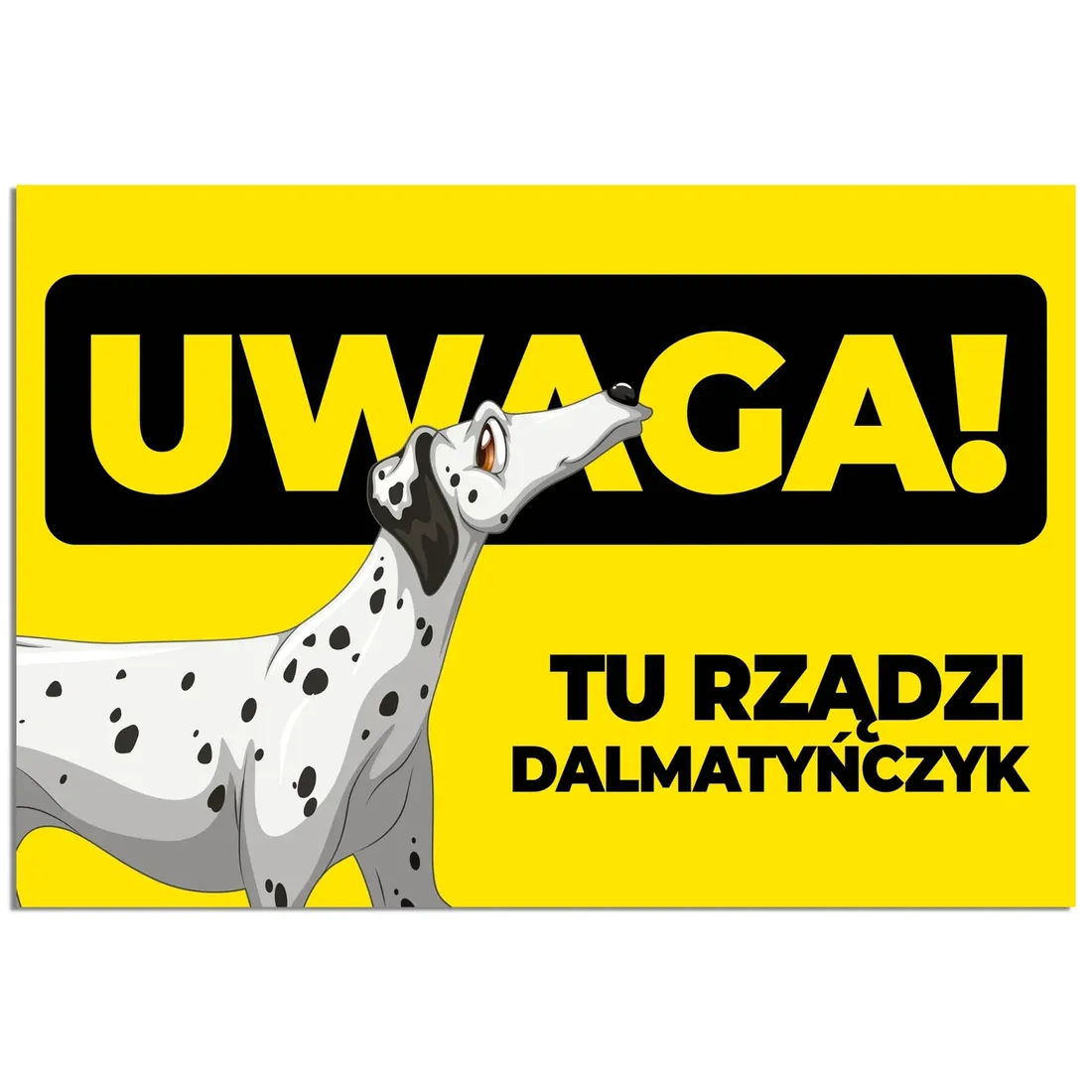 tabliczka-22x15cm-uwaga-dalmatynczyk-wzory-psy-stan-nowy