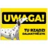 Kolor / wzór produktu #1
