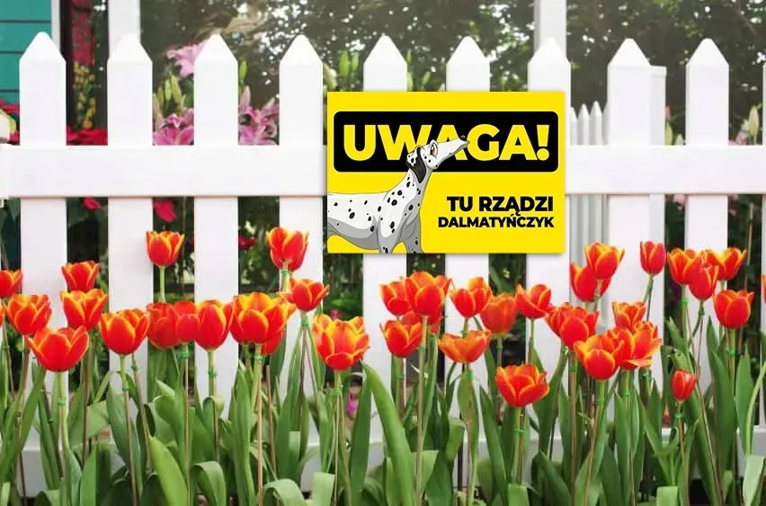 tabliczka-22x15cm-uwaga-dalmatynczyk-wzory-psy