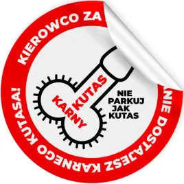 zestaw-naklejek-na-samocho-karny-k-tas-49-sztuk