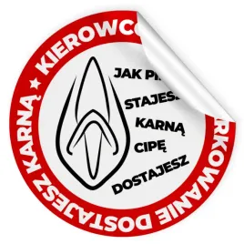 zestaw-naklejek-na-samocho-karna-c-pa-49-sztuk