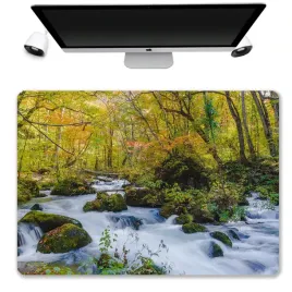 podkladka-mata-ochronna-biurko-50x35-natura-wzory