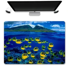 podkladka-mata-ochronna-biurko-50x35-ocean-wzory