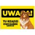 Kolor / wzór produktu #4