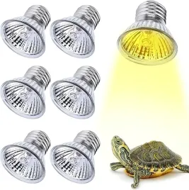 6x-halogenowa-zarowka-grzewcza-do-gadow-50-w-uva-sciemniania-e27-220240-v