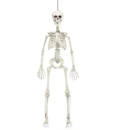 szkielet-szkieletor-90-cm-dekoracja-halloween