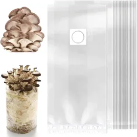 30-workow-do-uprawy-grzybow-32x50-cm-pp-filtr-02-boczniaki-enoki-reishi