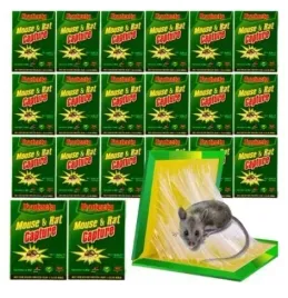 40x-myszolapka-lep-lapka-pulapka-na-myszy-szczury-duza