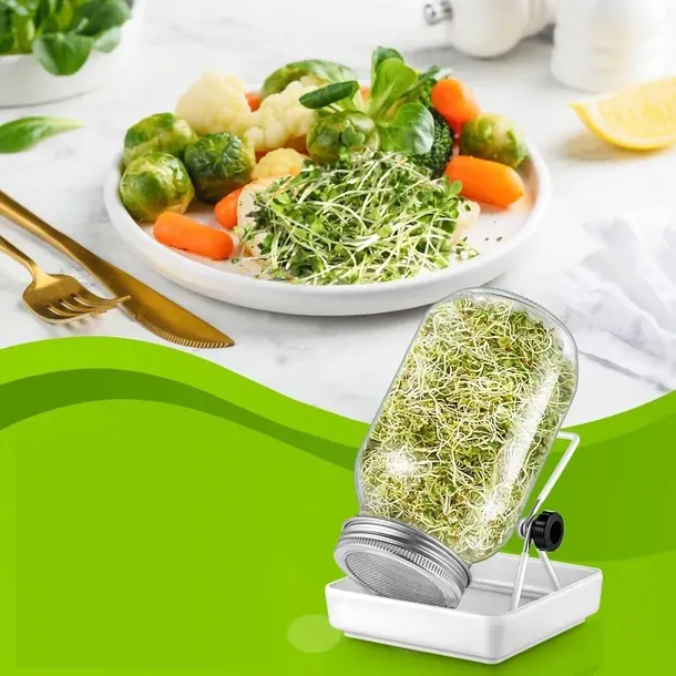 2x-kielkownica-sloikowa-kielkownik-sloik-do-kielkow-naczynie-nasiona-kielki-cechy-dodatkowe-mozliwosc-mycia-w-zmywarce-pokrywka-wyjmowane-dno