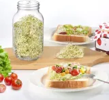 2x-kielkownica-sloikowa-kielkownik-sloik-do-kielkow-naczynie-nasiona-kielki-stan-opakowania-oryginalne