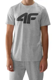 koszulka-z-krotkim-rekawem-meska-4f-sportowa-r-xxl