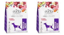 4vets-natural-gastro-intestinal-dog-1kg-x2