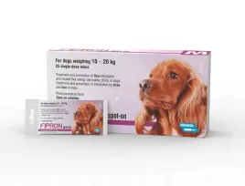 fipron-m-krople-na-pchly-kleszcze-dla-psa-10-20kg-1-szt