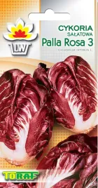 cykoria-lisciowa-palla-rossa-5g-nasiona-toraf