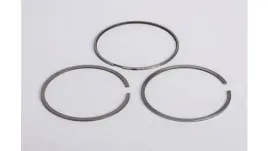 8097545-zest-pierscienia