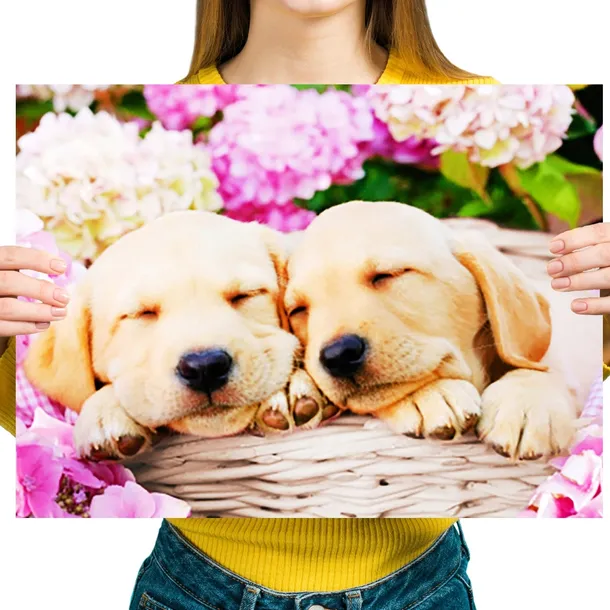 HAFT DIAMENTOWY Diamond Painting Mozaika Diamentowa 5d Dla Dzieci Pies