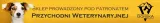 polisept-vet-wound-irrigation-500ml-stan-nowy
