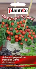 pomidor-koktajlowy-cherry-vilma-plantico-02g-nasiona-karlowy