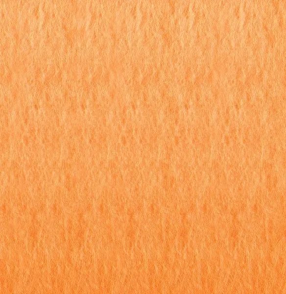 scierka-do-podlogi
