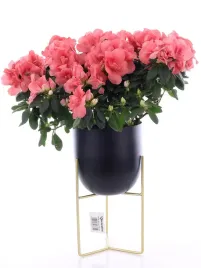 doniczka-na-stojaku-oslonka-stojak-kwietnik-27-cm