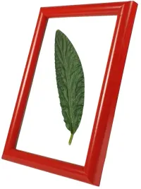 ramka-na-zdjecie-15x23-czerwona-dziecieca-aura-na-prezent