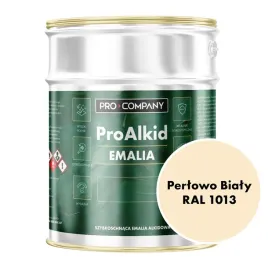 pro-alkid-szybkoschnaca-emalia-alkidowa-10l-perlowo-bialy-ral-1013
