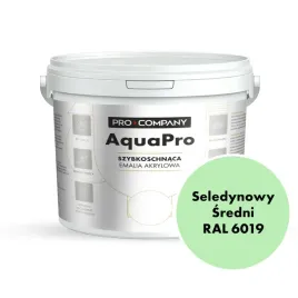 aqua-pro-emalia-akrylowa-szybkoschnaca-10l-seledynowy-sredni-ral-6019-mat