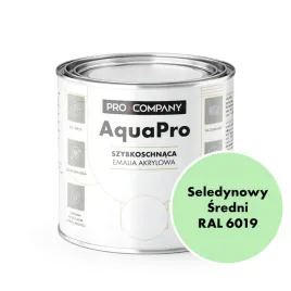 aqua-pro-emalia-akrylowa-szybkoschnaca-08l-seledynowy-sredni-ral-6019