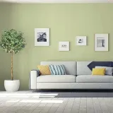dekoral-farba-moc-koloru-25-drzewo-oliwne-typ-farba-lateksowa