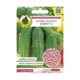 ogorek-gruntowy-szeryf-f1-wczesny-kwaszony-konserwowy-pnos-inkrustowane